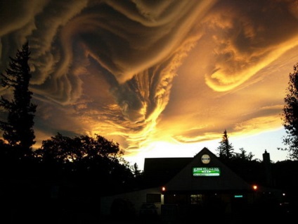 Undulatus asperatus - nori diabolici, planeta cogito