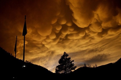 Undulatus asperatus - nori diabolici, planeta cogito