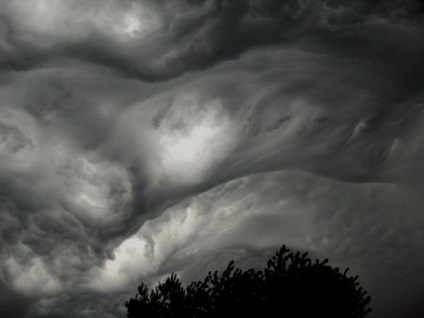 Undulatus asperatus - nori diabolici, planeta cogito