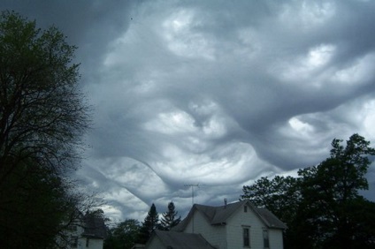 Undulatus asperatus - nori diabolici, planeta cogito