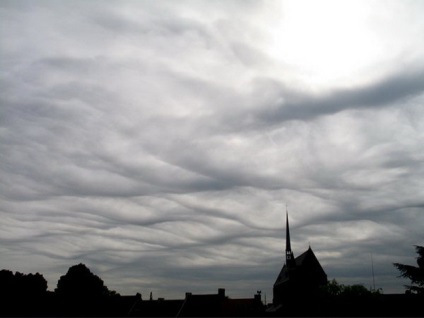 Undulatus asperatus - nori diabolici, planeta cogito