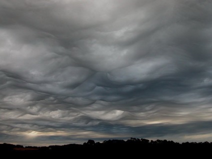 Undulatus asperatus - nori diabolici, planeta cogito