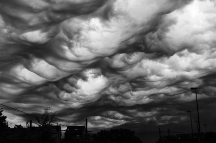 Undulatus asperatus - nori diabolici, planeta cogito