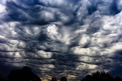 Undulatus asperatus - nori diabolici, planeta cogito