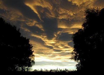 Undulatus asperatus - nori diabolici, planeta cogito