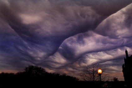 Undulatus asperatus - nori diabolici, planeta cogito