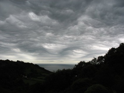 Undulatus asperatus - nori diabolici, planeta cogito