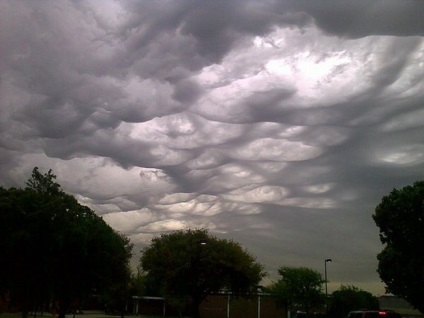 Undulatus asperatus - nori diabolici, planeta cogito