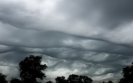 Undulatus asperatus - nori diabolici, planeta cogito