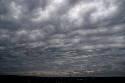 Undulatus asperatus - nori diabolici, planeta cogito