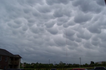 Undulatus asperatus - nori diabolici, planeta cogito