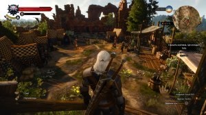 Witcher 3 Wild Hunt