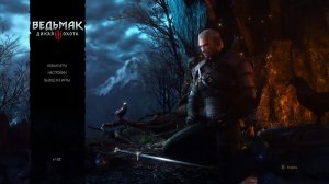 Witcher 3 Wild Hunt