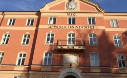 Învățământul superior din Suedia și cele mai bune universități