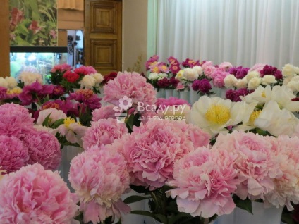 Expoziție-vânzare de flori curcubeu de gradina