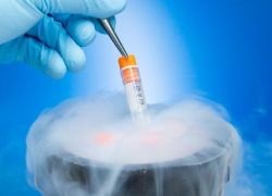 Vitrificarea embrionilor celulari