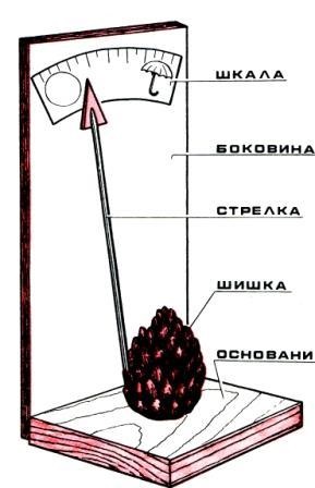 Всички със собствените си ръце, устройството предсказва времето