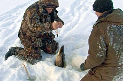 Зима за голяма щука - рибарски принадлежности и методи - сибирски риболов