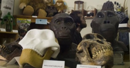 10 Muzee dedicate exclusiv creaturilor mitice