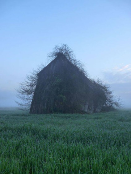 18 Locuri abandonate care dovedesc că natura este mai puternică decât omul