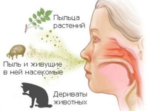 Edemul alergic al nasului, simptome și tratament