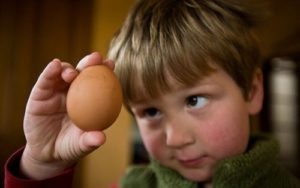 Alergia la ouă într-o fotografie copil, simptome, opțiuni de tratament