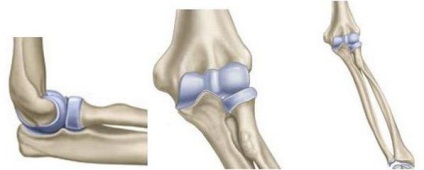 Anatomia îmbinării cotului, structură, funcții