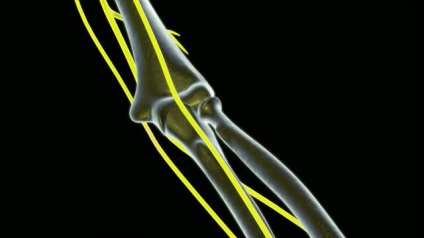 Anatomia îmbinării cotului, structură, funcții