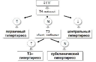 Tulburările aritmiilor și ale tiroidei cresc funcția tiroidiană în 5-15% din cazuri