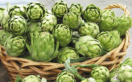 Artichoke proprietati utile, tipuri si tehnici de aplicare