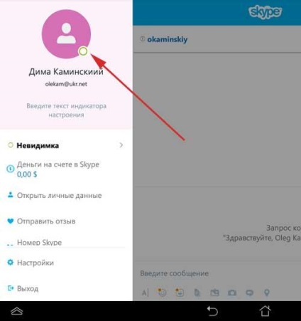 Karakterekkel Skype hol találja, hogyan kell telepíteni - a legjobb forrásai a képek