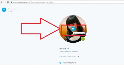 Avatar pentru skype unde să obțineți, cum să instalați - cele mai bune surse de imagini