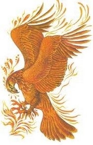 Baw fenix