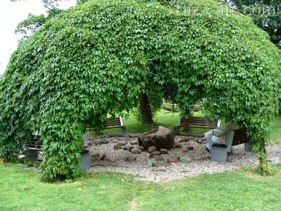 Arbor din trunchiuri de copaci cum se construieste, nasha besedka