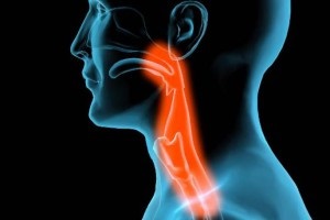 Възпалено език и парене в гърлото, както и появата на пъпки, причини и лечение