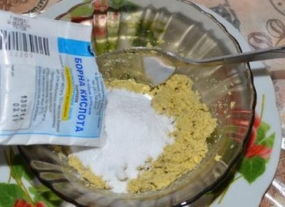 Acid boric cu ouă - un remediu pentru gandaci, o rețetă și o metodă de aplicare