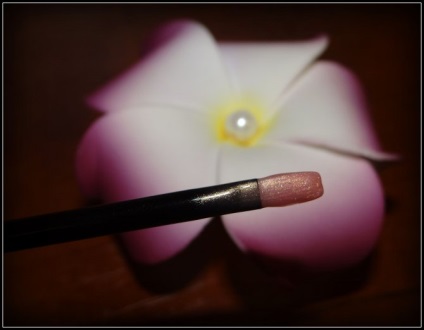 Chanel szájfény ragyogó levres lipgloss