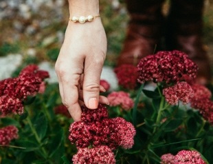 Ce să citești biografii interesante ale unor oameni buni