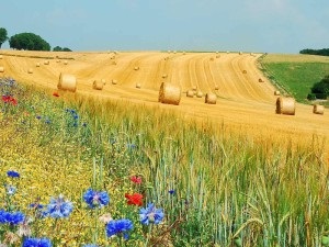 Ce să aduceți ca dar din Rusia, dați-i pe Maria