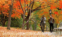 Citate din film - când Harry a întâlnit poeziile (aforismele) -