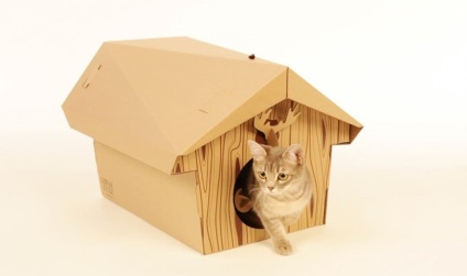 Casa pentru o pisica si o pisica - cum sa-ti faci mainile, cum sa alegi un gata facut si altele