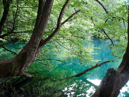 Excursie la lacurile albastre chirik kel, izvor de vindecare