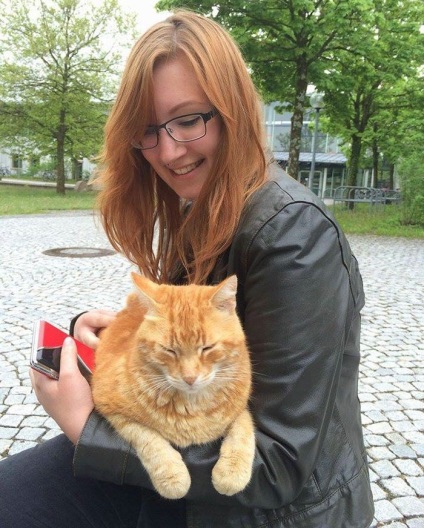 Această pisică vine în fiecare zi la universitate pentru a le oferi fiecărui elev îmbrățișările lor, umkra