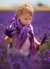 Fotografii în stilul Provence