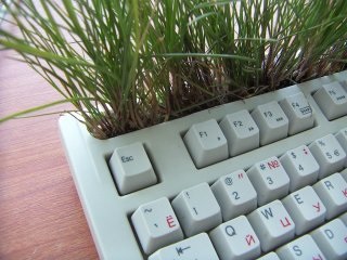 Tastatură pentru iarbă