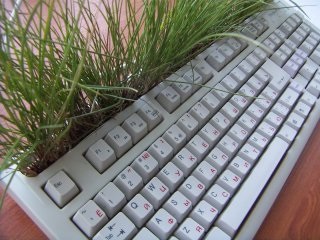 Tastatură pentru iarbă