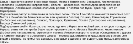 În cazul în care pentru a colecta ciuperci lângă Sankt Petersburg