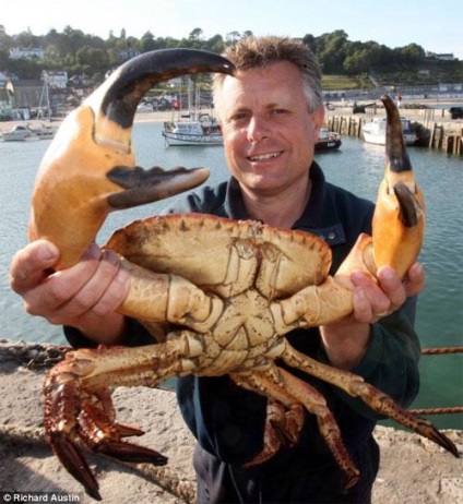 În cazul în care în Crimeea pentru a prinde crabi
