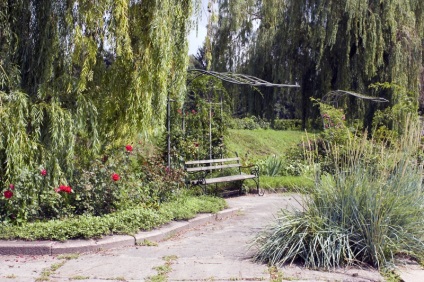 Parcul principal din Kiev este o grădină botanică din Pechersk, cult kiev