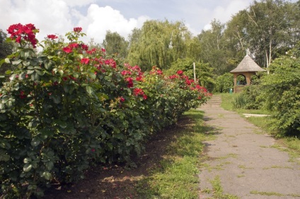 Parcul principal din Kiev este o grădină botanică din Pechersk, cult kiev